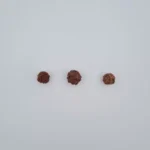1 Mukhi Rudraksh Beads