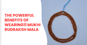 rudraksh ki mala