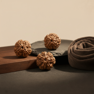 4 Mukhi Rudraksha 5 Mukhi Rudraksha 7 Mukhi Rudraksha