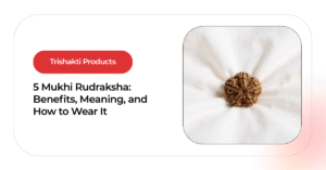5 Mukhi Rudraksha